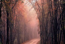 开云-清晨阿森纳完成体检——西甲节点到来，更衣室稳定，资深球员宣示担当的简单介绍